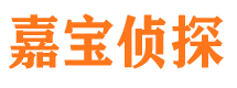 汤旺河嘉宝私家侦探公司